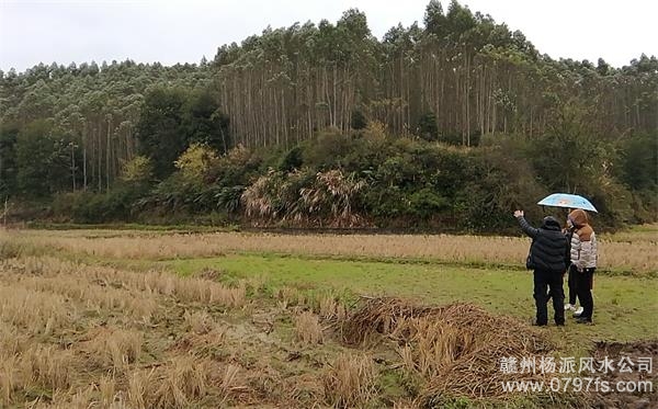 儋州市陈老师带着爱徒寻龙点穴